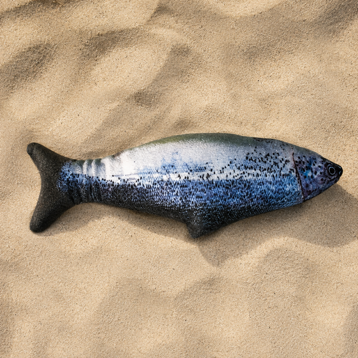 Flopping Fish